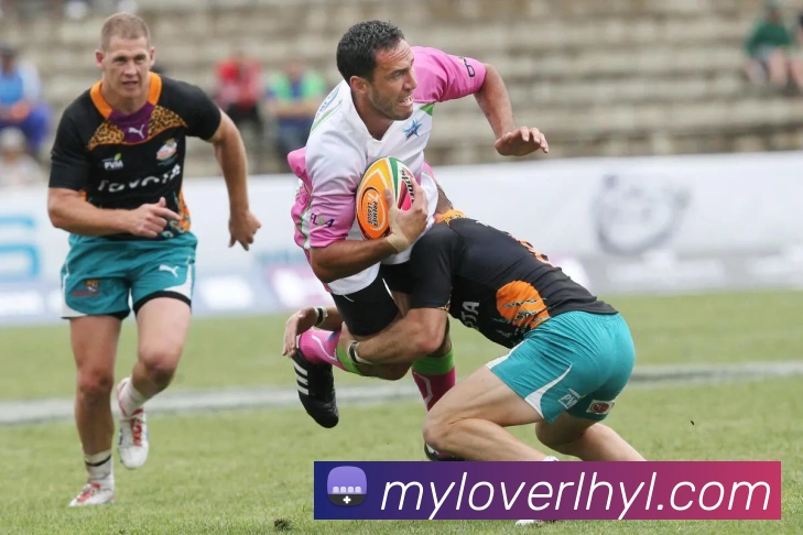 App Interface Preview