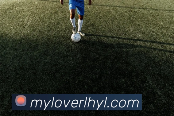 买球官方APP 封面图